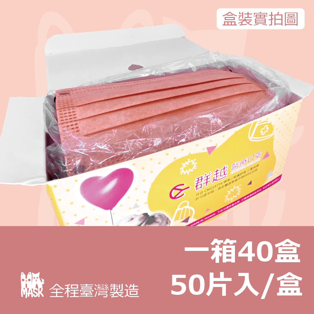 ✨免運✨ 烏梅汁冰沙 | 平面口罩(50入) | 一箱40盒(2000片)